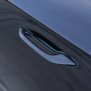 Anti-Freeze Door Handle Extensions for Model 3 & Model Y | Set of 4