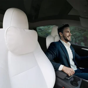 Seat Headrests for Model Y & Model 3 | TESERY